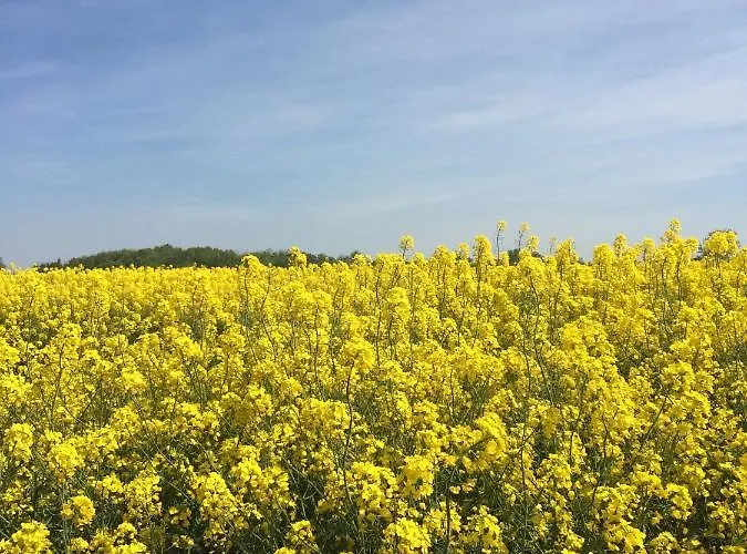 Апартаменты Ostseeperle *